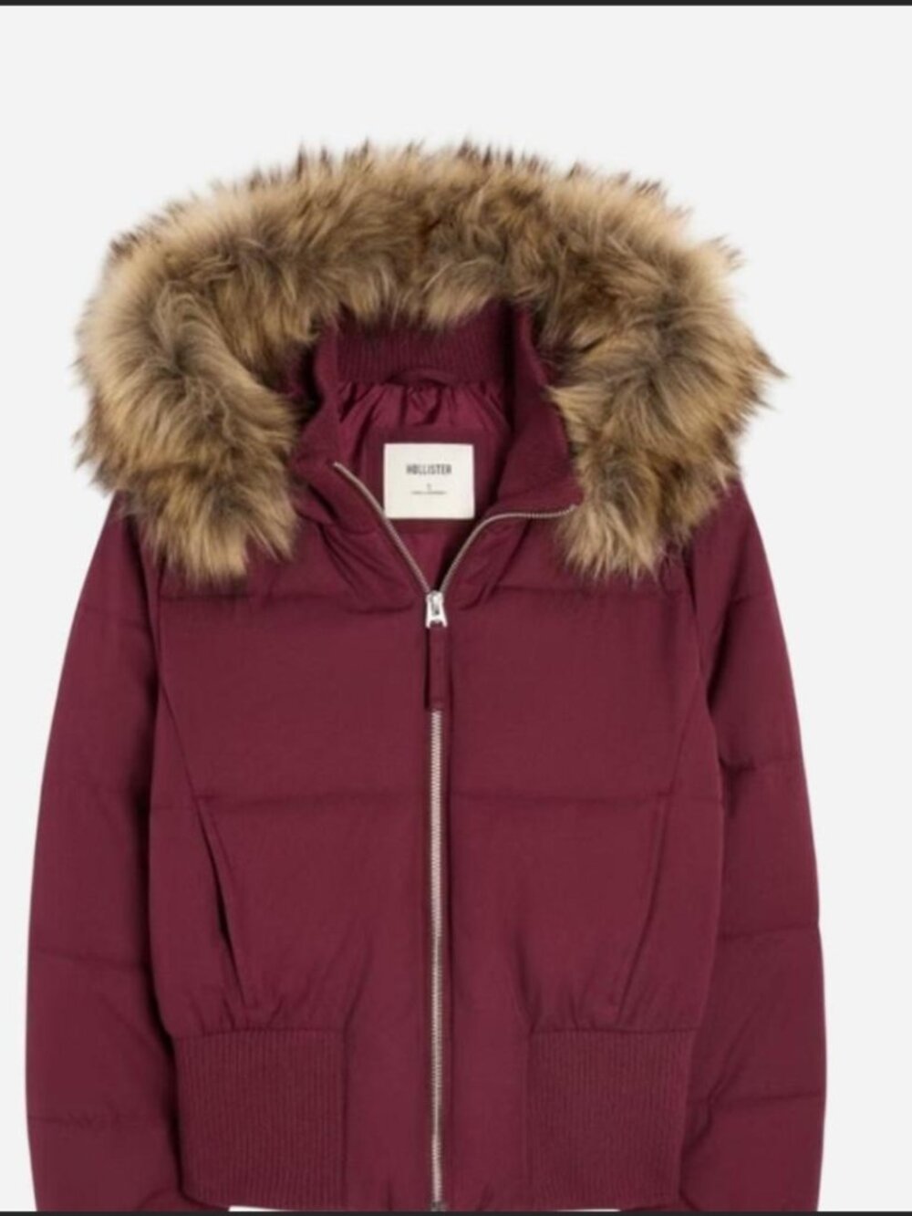 Hollister mulberry coat